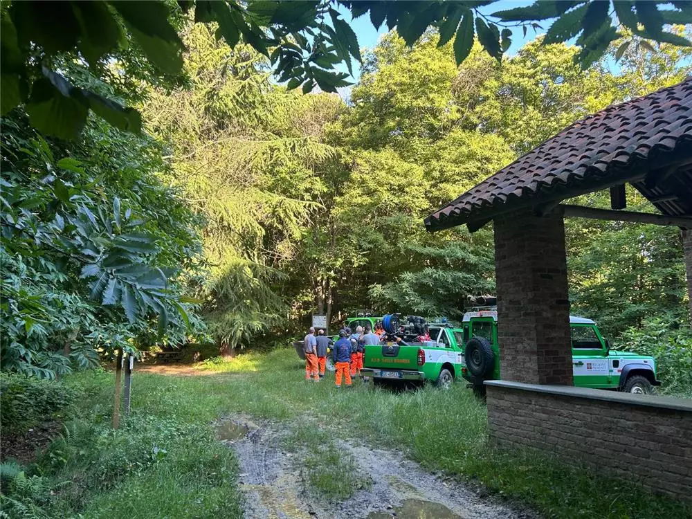 Immagine di copertina